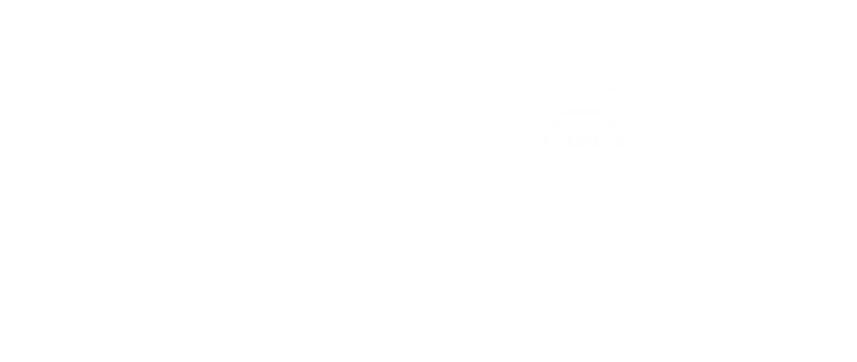 Structural Operating Model™